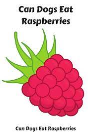 Can Dogs Eat Raspberries We Discuss The Health Benefits Of Raspberries For Dogs How Much Raspberry A Dog Can Eat An Can Dogs Eat Dog Eating Dog Food Recipes