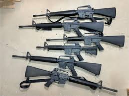 Image result for Corse Gray 1993 Colt