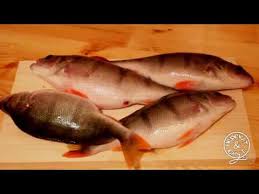как быстро почистить окуня от чешуи в домашних условиях Kak Pochistit Okunya Youtube