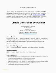 Business performance and preparation of financial statements for assistant business controller jobs in the moscow, ru area: Resume Format Kaise Banaye Sample Resume Format Sample Resume Job Resume Format