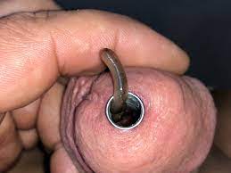 wurm kriecht in meinen schwanz - Worm in cock! Urethra play with worm |  MOTHERLESS.COM ™
