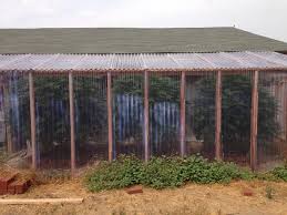 Suncover polycarbonate plastic roofing sheets. White Corrugated Greenhouse Roofing Questions Growing In Greenhouses International Cannagraphic Magazine Forums
