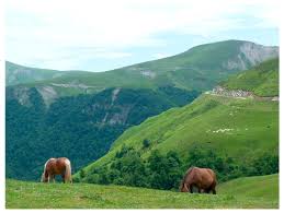 Sustainability Free Full Text Contingency And Agency In The Mountain Landscapes Of The Western Pyrenees A Place Based Approach To The Long Anthropocene Html