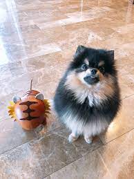 Sign up for purewow to get more ideas like these (it's free!) a valid email address is required. Yeontan Album On Imgur