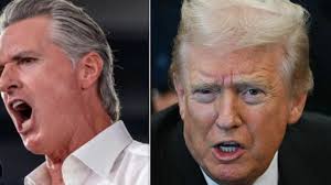 Loving it here': Newcomers in their 30s propel Calgary's very different  growth spurt