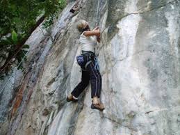 There are routes for beginners to experience climbers letting you have one of the most thrilling experiences in malaysia. Stupid With Manners Nyamuk Batu Caves Rock Climbing Climbing You Rock