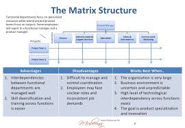 Organisation Structure