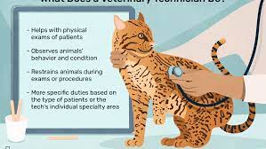 Veterinary assistant job description template job description examples. Veterinary Technician Job Description Salary Skills More