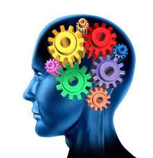 Inteligencia fluida e inteligencia cristalizada - Cattell y Horn