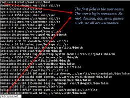 Linux List All Users In The System Command - Nixcraft