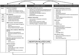 The main question is whether or not abortion should be legal? Trajectories Of Women S Abortion Related Care A Conceptual Framework Sciencedirect