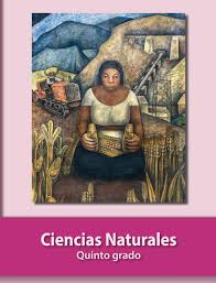 Primaria sexto grado ciencias naturales libro de texto, author: Libro Del Alumno Ciencias Naturales Quinto Grado Sep 2019 2020 By Vic Myaulavirtualvh Issuu