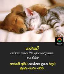 Check spelling or type a new query. Yoma Wadan Sinhala Adara Photos