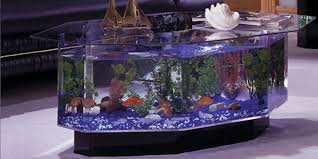 Everyone who visits you will want to spend time in front of your aquarium. Cool Things You Can Buy Online Which You Never Knew Existed