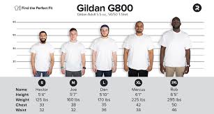 Download Gildan T Shirts G200 G800 G500 Vs The Hanes Beefy Tee