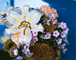 Check spelling or type a new query. Nobuyoshi Araki Artist News Exhibitions Photography Now Com
