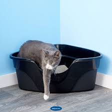 Kedi Kum Kabi Nasil Olmali En Iyi 5 Kapali Kedi Tuvaleti Sosyalmedya Tv Bb Burada Biliyorum
