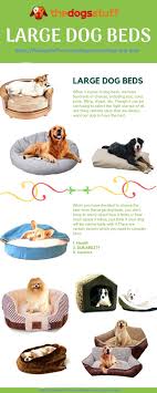 We did not find results for: Large Dog Beds Dog Bed Large Dog Bed Large Dogs