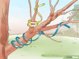 Why keep birds away from fruit trees? 3 Ways To Keep Birds Out Of Trees Wikihow