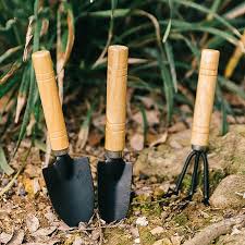 Maybe you would like to learn more about one of these? 3pc Mini Garden Hand Tool Kit Plant Gardening Shovel Spade Rake Mini Garden Garden Tools Shopee Philippines
