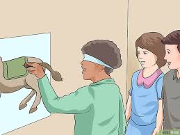 A picture of a donkey with a missing tail is tacked to a wall within easy reach of children. Como Jugar A Ponle La Cola Al Burro Respuestas Tips