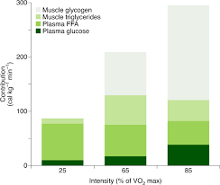 Aerobic metabolism takes place in. Skeletal Muscle Energy Metabolism During Exercise Nature Metabolism