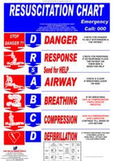 Cpr Chart Free Download Vital First Aid