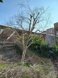 Profile for Salvati giardinaggio