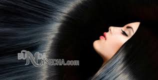 Maybe you would like to learn more about one of these? Pelet Dari Rambut Dengan Surat Alquran Target Langsung Kena