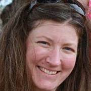 The Shelf Elf by Jackie Mims Hopkins