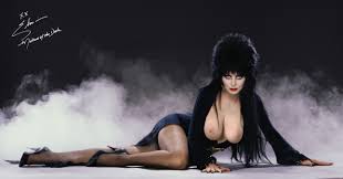 Post 6572044: Cassandra_Peterson Elvira Elvira_Mistress_of_the_Dark fakes  wileecoyote1969