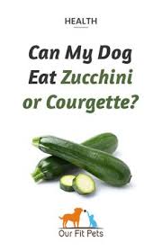 Your dog can have a healthy snack of carrot sticks, green beans, cucumber slices, or zucchini slices. 60 Can My Dog Eat This Ideas Foods Dogs Can Eat Can Dogs Eat Dog Eating