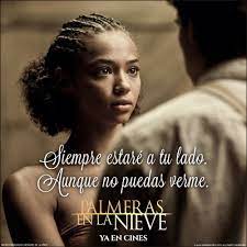 Siempre Snow Movie Life Reflection Quotes Palm Trees