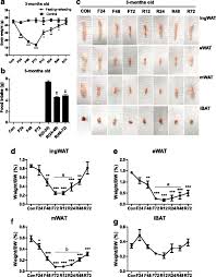 This can occur as the legs and feet start to become very swollen. Plasticity Of Adipose Tissue In Response To Fasting And Refeeding In Male Mice Nutrition Metabolism Full Text