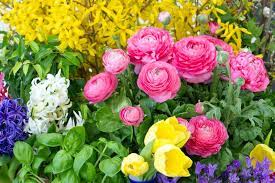 Check spelling or type a new query. Fleurs De Printemps Liste De 12 Plantes Et Arbustes Pour Le Jardin