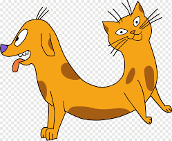 Drawing a kitten may not be as difficult as it appears. Whiskers Cat Drawing Animation Mouth Dog Television Mammal Animals Png Pngwing
