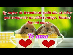 Videos Romanticos Buenos Dias Mi Amor Frases Bonitas De Buenos Dia Buenos Dias Amor Buenos Dias Te Amo Frases De Buenos Dias