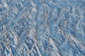 The cactuslike plants found in the deserts of southern africa and madagascar are members of the family euphorbiaceae and are toxic. The Quest For The North Pole Episode 2 Podcast Transcript Mental Floss