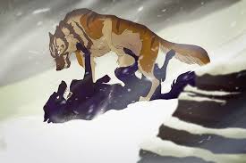 Rumble By Rollingrabbit Anime Wolf Dog Drawing Animal Art