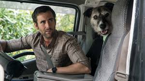 Baby done when zoe and tim find out they are having a baby, they resolve to not let parenthood change them. Interview Matthew Lewis On His New Film Baby Done Coup De Main Magazine