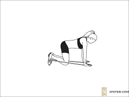 Band Donkey Kicks Illustrated Exercise Guide