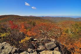 Loft mountain campground is quite famous as a destination. The At North Of Loft Mountain Campground Dsc 9598 Matthew Culbertson Flickr
