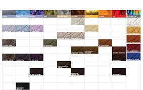 pravana hair color chart pictures lajoshrich com