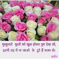 Pin By Shaheen Kazi On Marathi Kavita Rose Flowers Plants