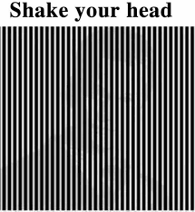 Image result for illusion pictures