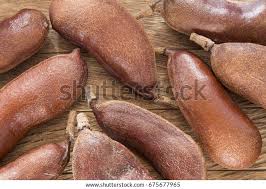 Image result for Hymenaea courbaril