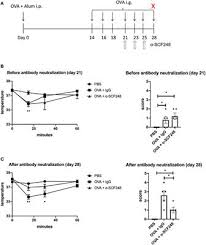 Where to watch lara aishah online free. Frontiers Stem Cell Factor Neutralization Protects From Severe Anaphylaxis In A Murine Model Of Food Allergy Immunology