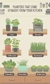 Save your seed packets and start a gardening journal. Indoor Edible Plants Indoor Herb Garden Indoor Vegetable Gardening Plants