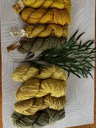 Image result for Grevea