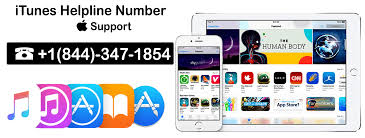 24 7 Apple Support Phone Number Apple Support Itunes Mac Mini